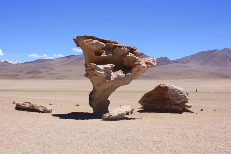 Каменное дерево Боливия