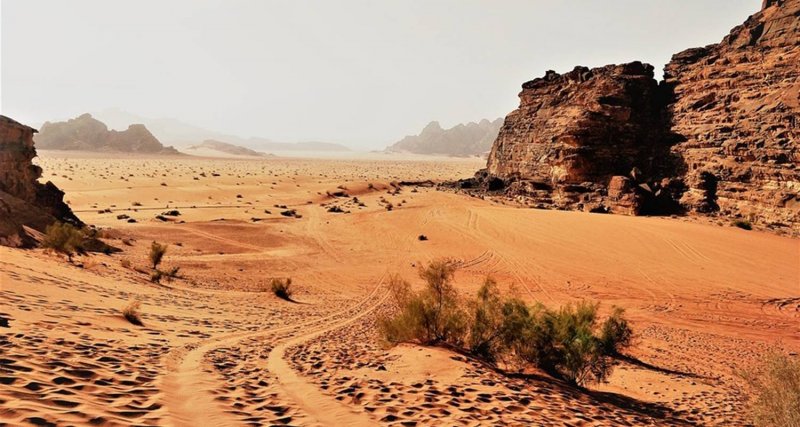 Гаммада (каменистая пустыня в Северной Африке).