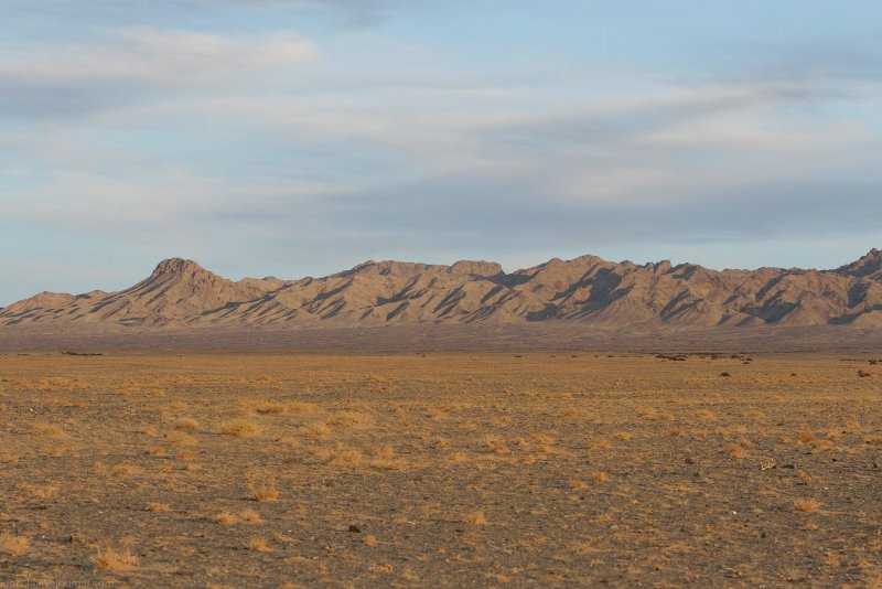 Гамады пустыня