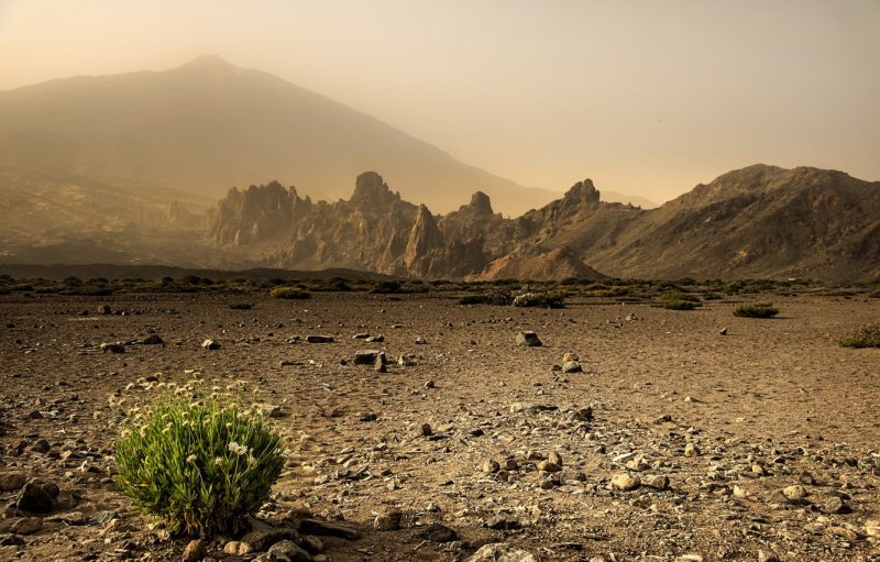 Песчано-каменистая пустыня