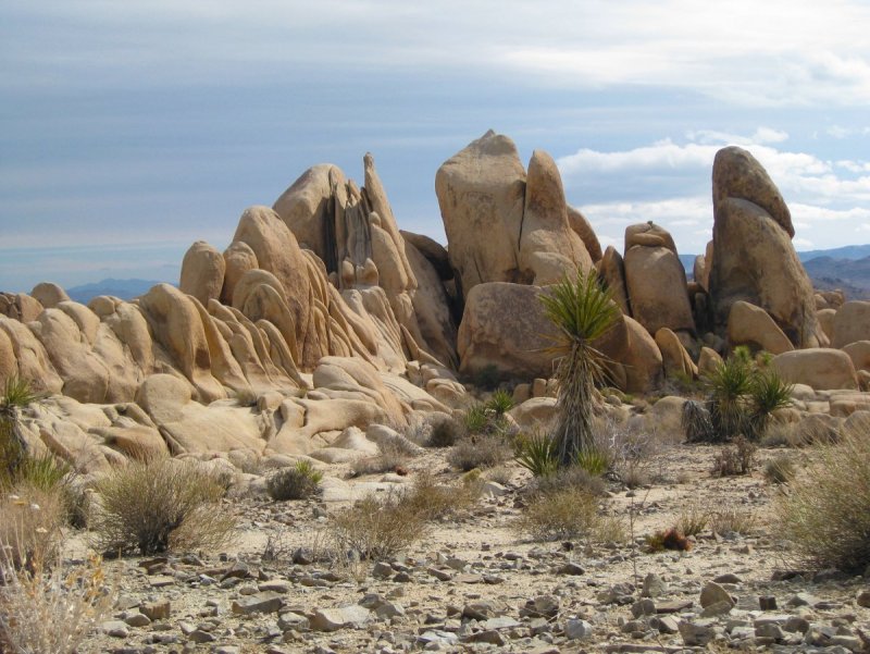 Песчано-каменистые пустыни