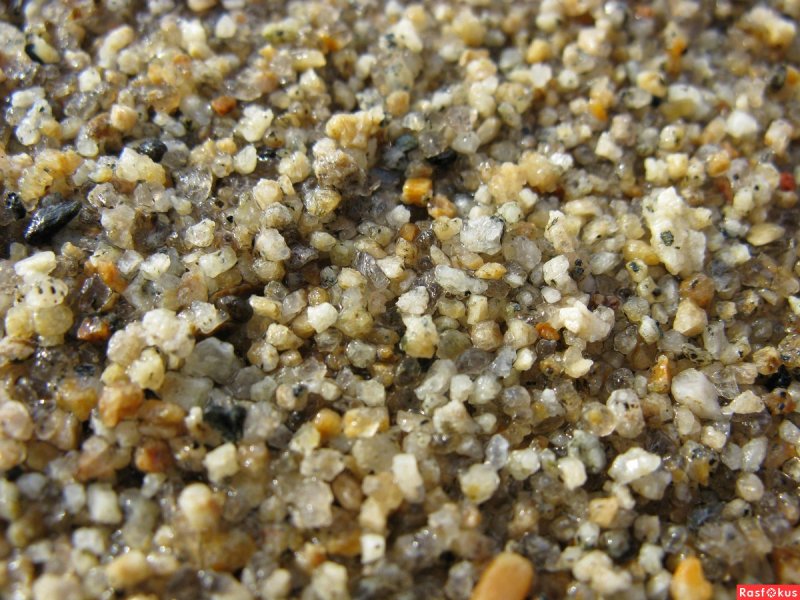 Речной песок под микроскопом
