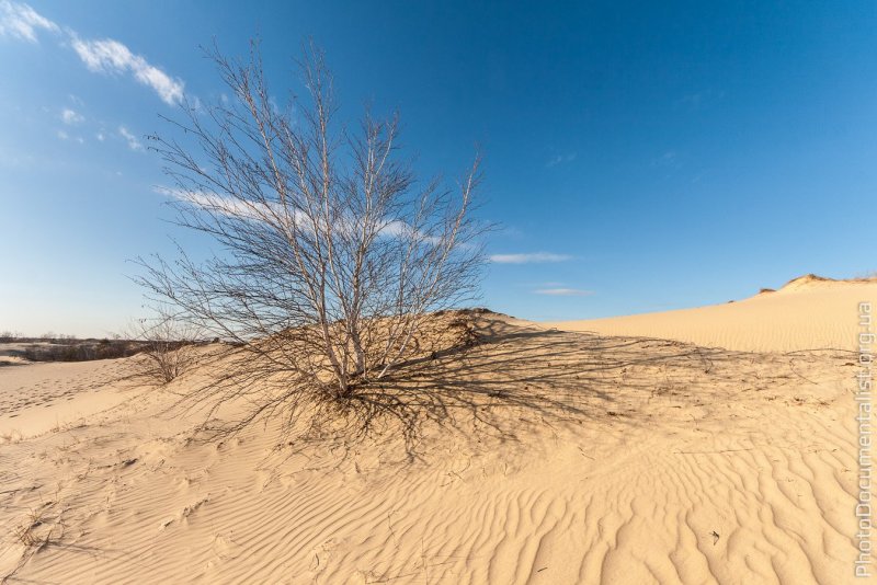 Пустыни и полупустыни России климат