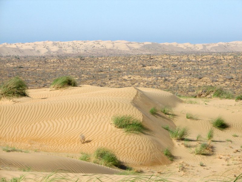 Пустыня Каракум берег Каспия
