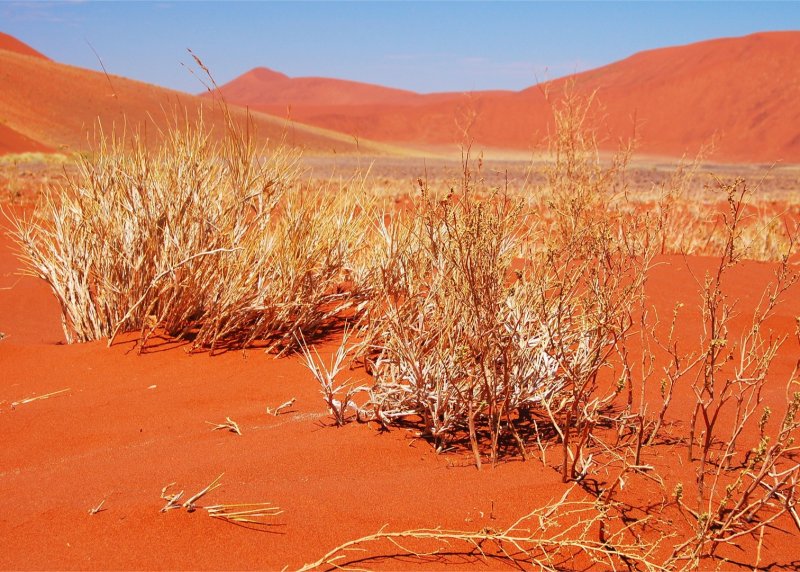 Пустыня Калахари климат