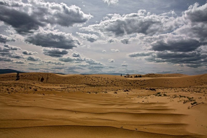 Пустыня Чарские Пески климат