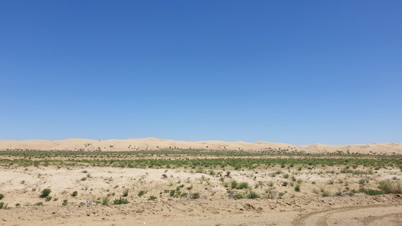 Пески Каракум в Казахстане