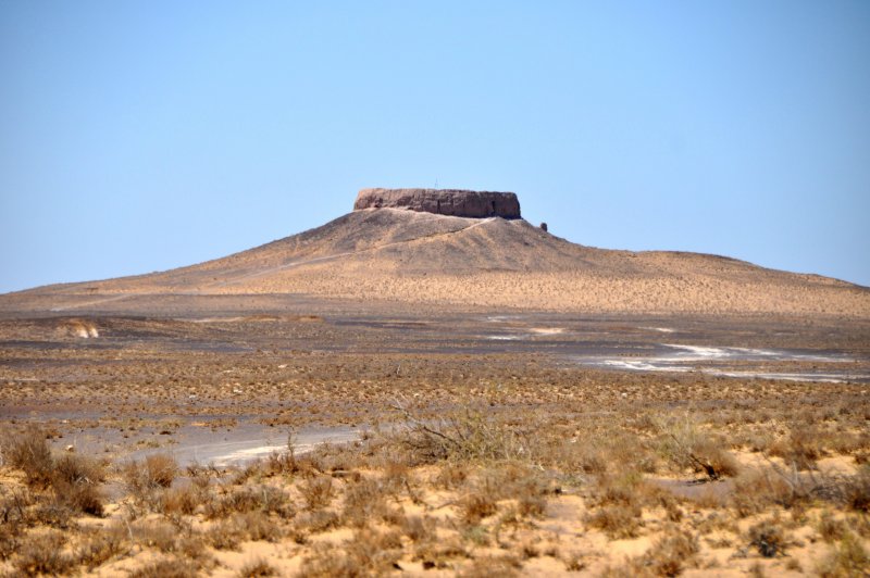 Каракумы пустыня