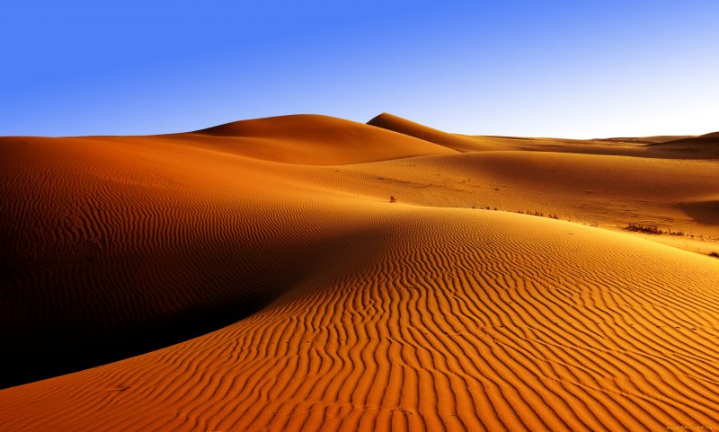 Пустыня Каракум
