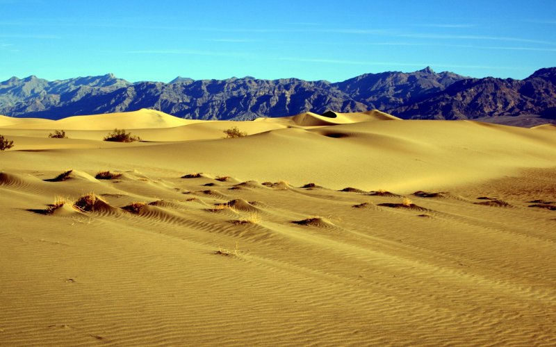 Песчаные пустыни Северной Америки