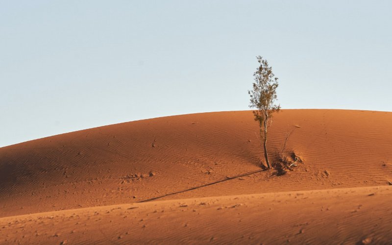 Каракум пустыня таймлапс