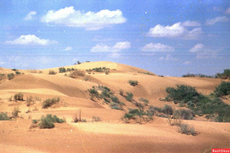 Туркмения пустыня Каракум