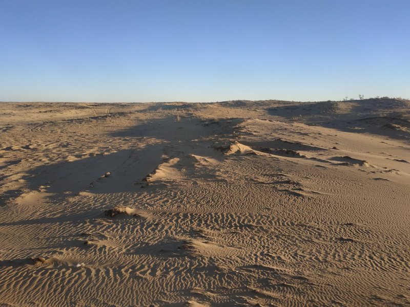 Узбекистан пустыня Кызылкум