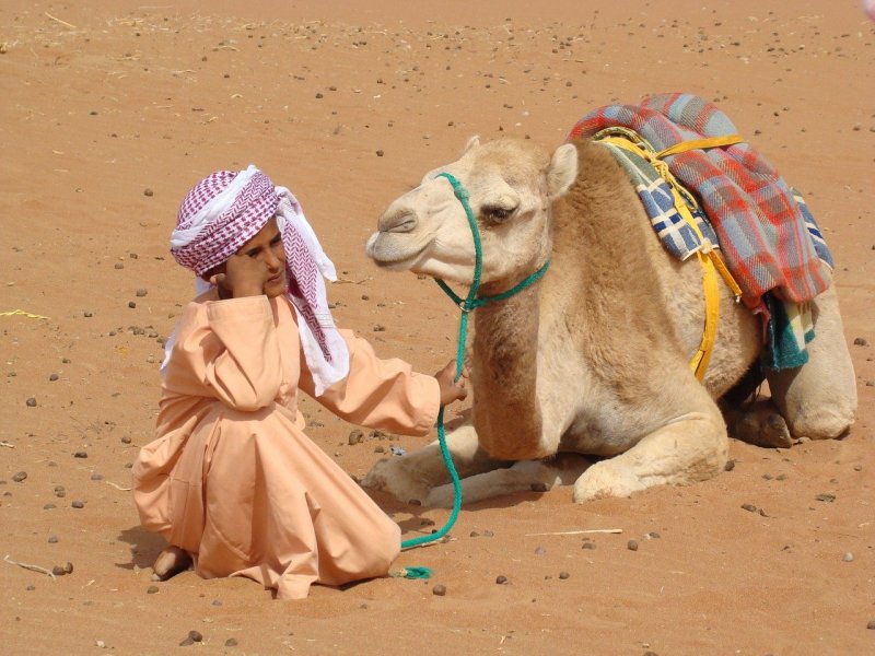 Арабы бедуины