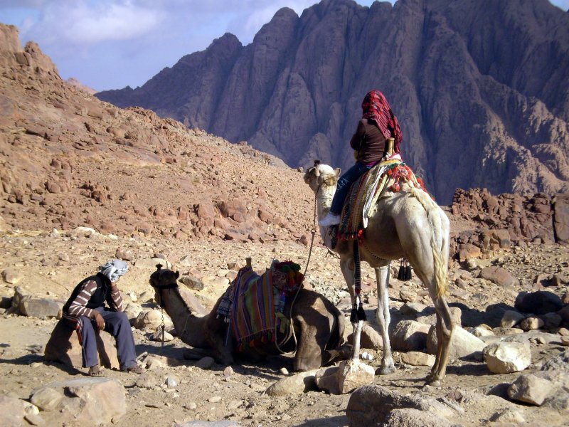 Племя бедуины в Египте