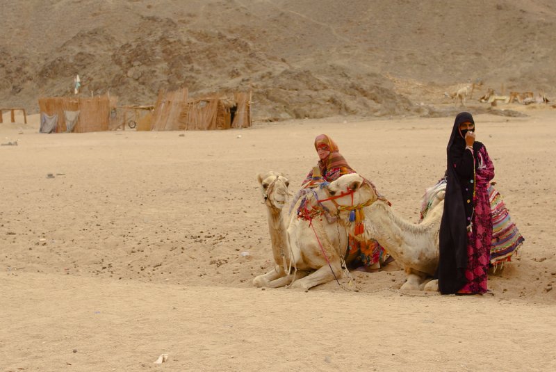 Кочевники бедуины