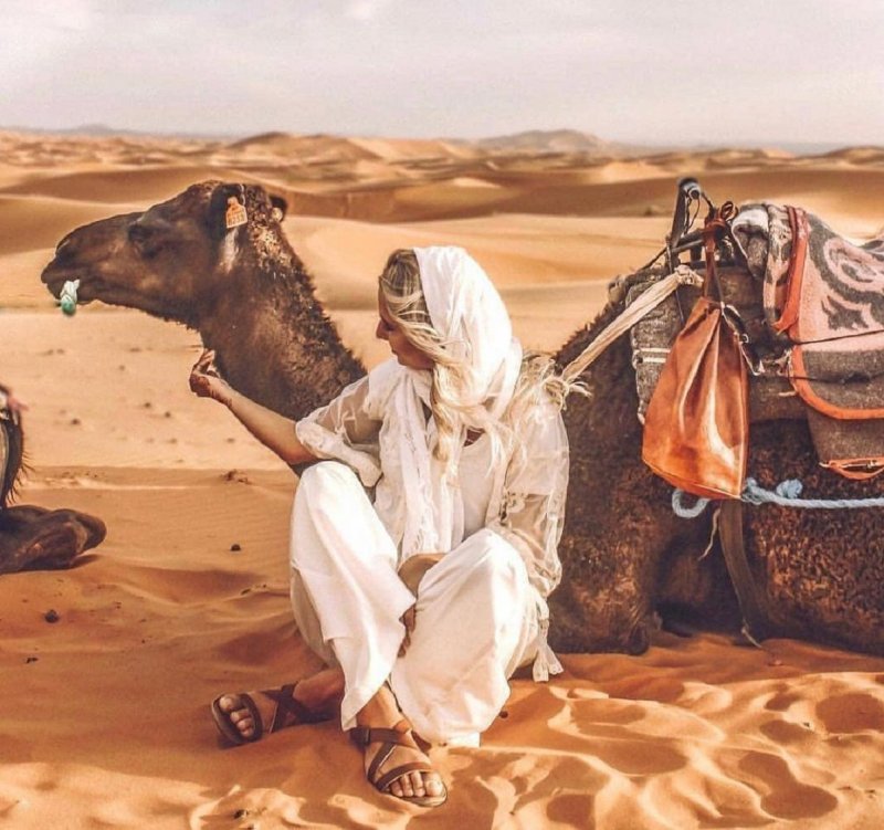 Кочевники бедуины