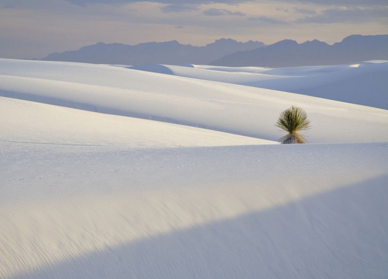 Пустыня белых Песков в Нью-Мексико