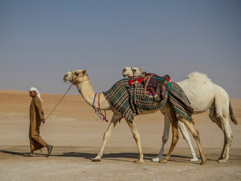 Одежда бедуинов женщин
