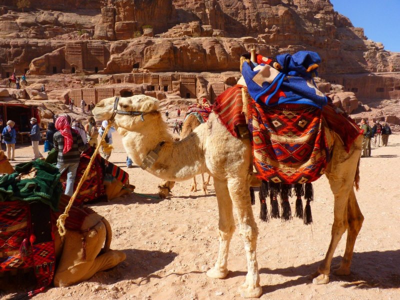 Туареги Караван