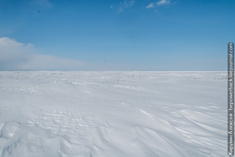 Арктическая пустыня равнины
