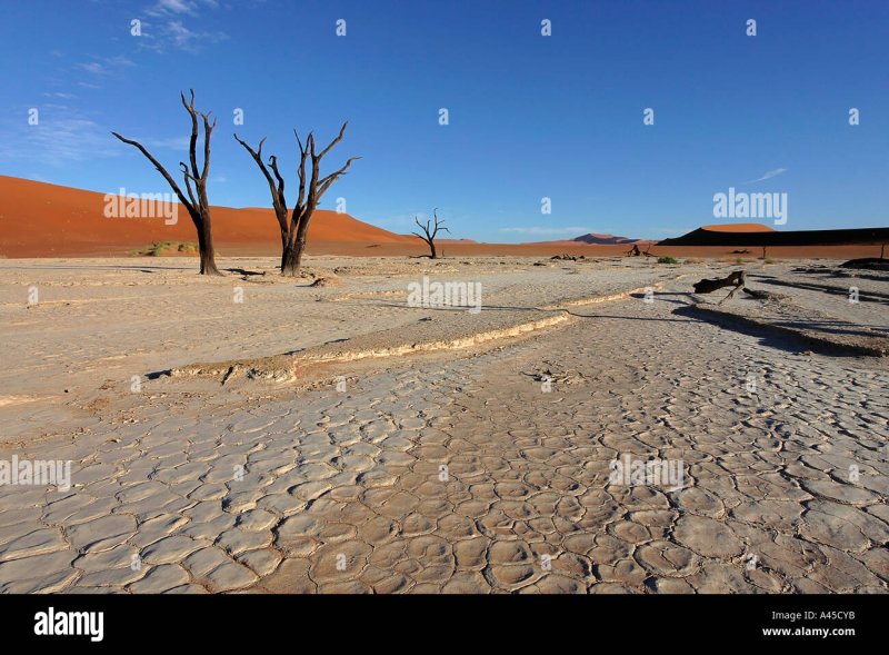 Каменистые глинистые песчаные пустыни Африки