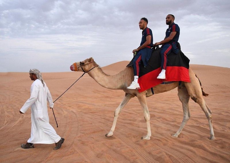 Араб с верблюдом в пустыне