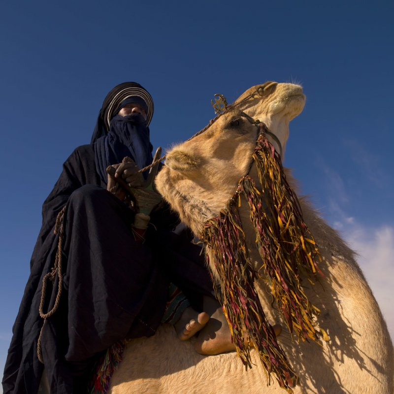 Берберы туареги бедуины