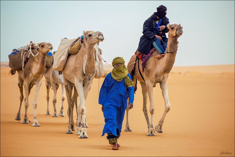 Туареги кочевники Северной Африки