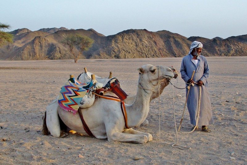 Бедуины Синая