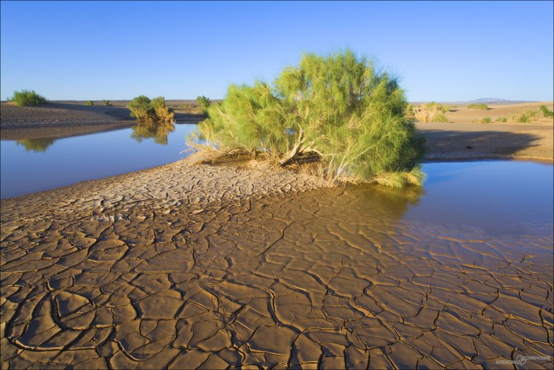 Внутренние воды пустынь и полупустынь России