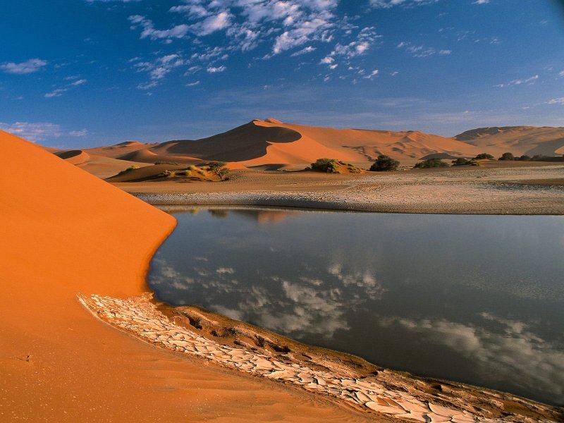 Оазис пустыни и полупустыни