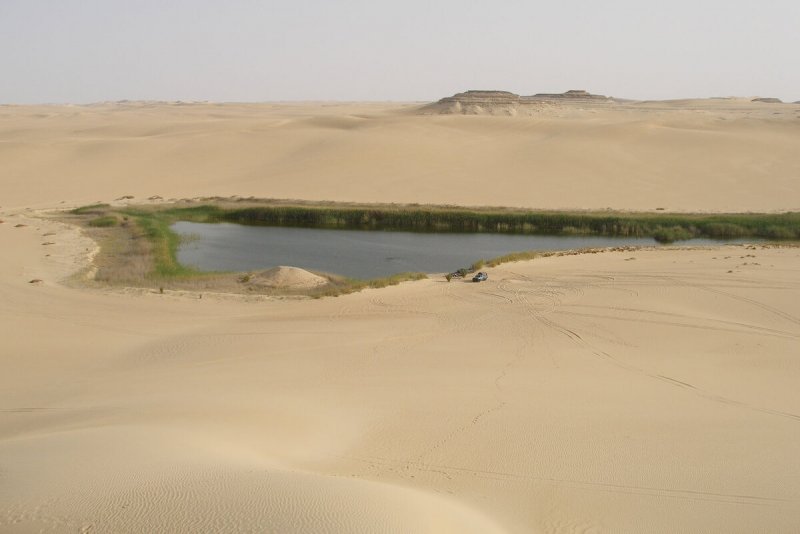 Пруд в пустыне