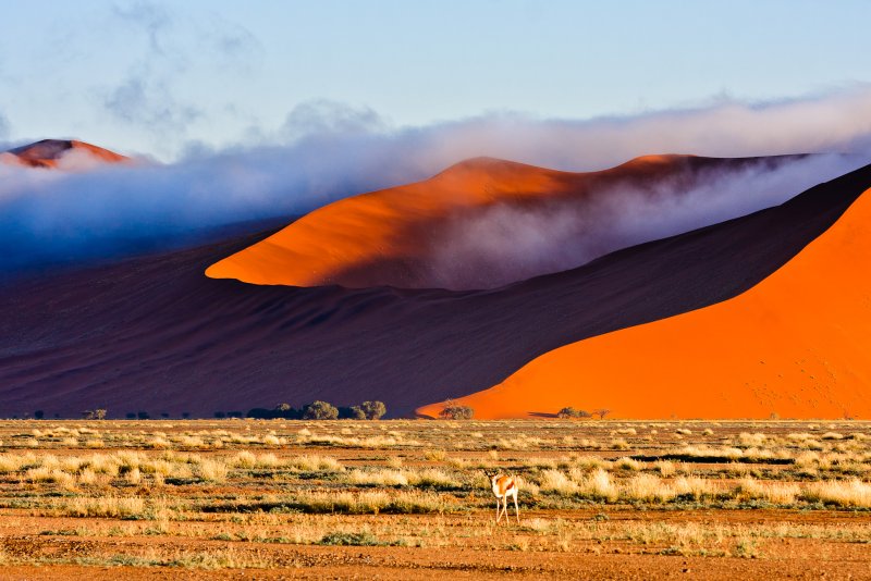 Пустыни Туманов Намиб