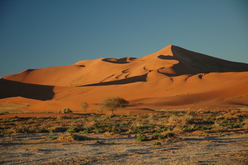 Пустыни и полупустыни Африки