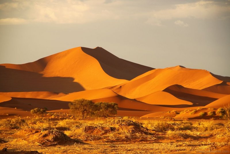 Африка сахара Намиб