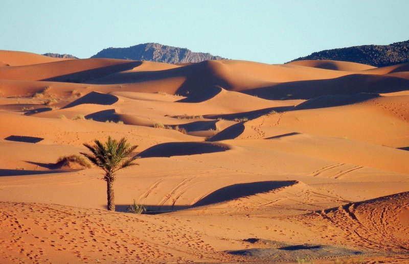 Зона пустынь и полупустынь Африки