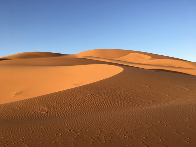 Пустыня днем