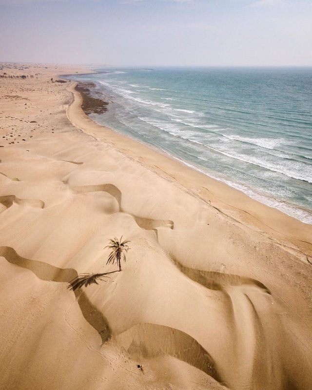 Пустынный берег моря