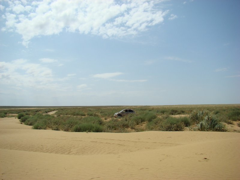 Калмыкия пустыня