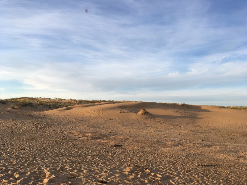Пески Берли Астраханская область