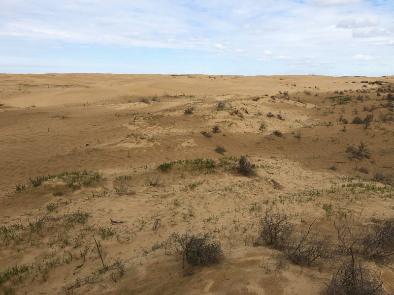 Опустынивание земель в Дагестане