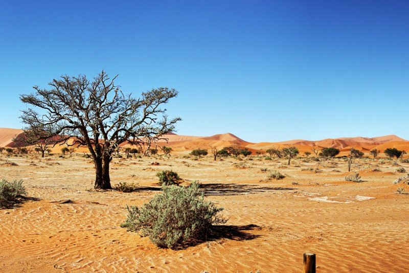 Зона пустынь и полупустынь Африки