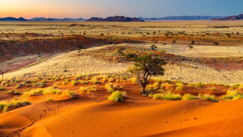 Пустыни полупустыни Намиб