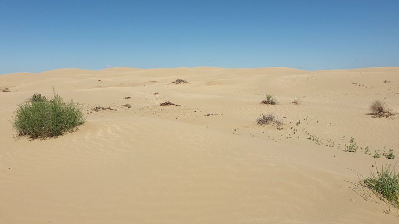 Пески пустыни Каракумы