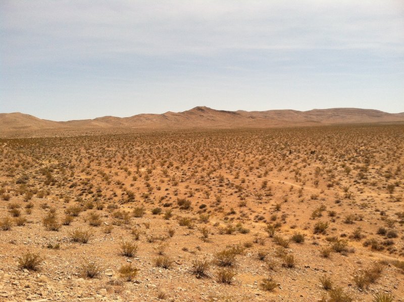 Степи пустыни и полупустыни