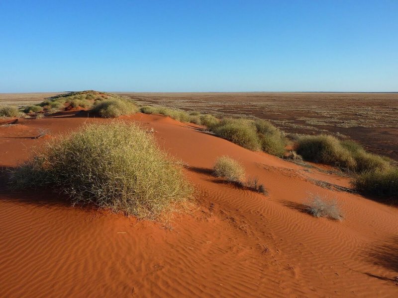 Пустыни и полупустыни Австралии