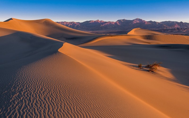 Песчаная пустыня-эрг