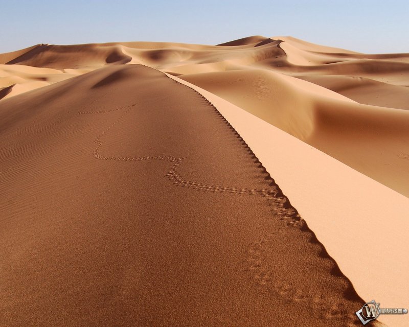 Песчаные дюны Вади рам