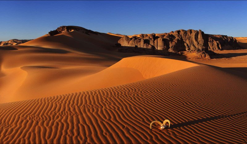 Пустыни: сахара, Гоби, большая пустыня Виктория